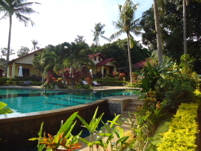 Lamai Hotel pool